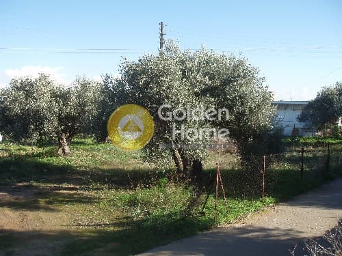 Οικόπεδο στην Μεσαγρός, Αίγινα — Φωτογραφία 4 από 9