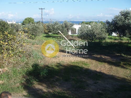 Οικόπεδο στην Μεσαγρός, Αίγινα — Φωτογραφία 6 από 9