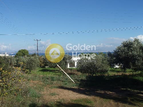 Οικόπεδο στην Μεσαγρός, Αίγινα — Φωτογραφία 7 από 9