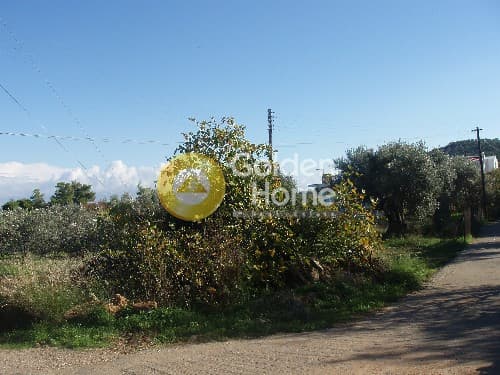 Οικόπεδο στην Μεσαγρός, Αίγινα — Φωτογραφία 8 από 9