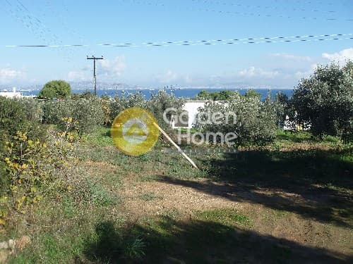 Οικόπεδο στην Μεσαγρός, Αίγινα — Φωτογραφία 9 από 9