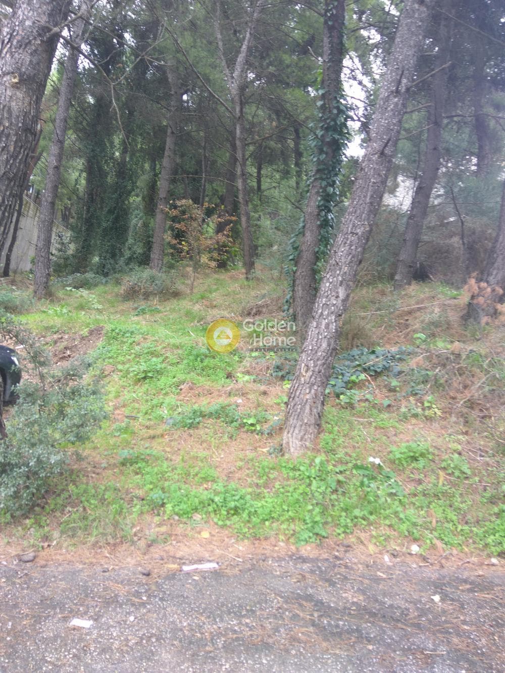 Building Plot in Rodopoli, Rodopoli — Photo 1 of 3