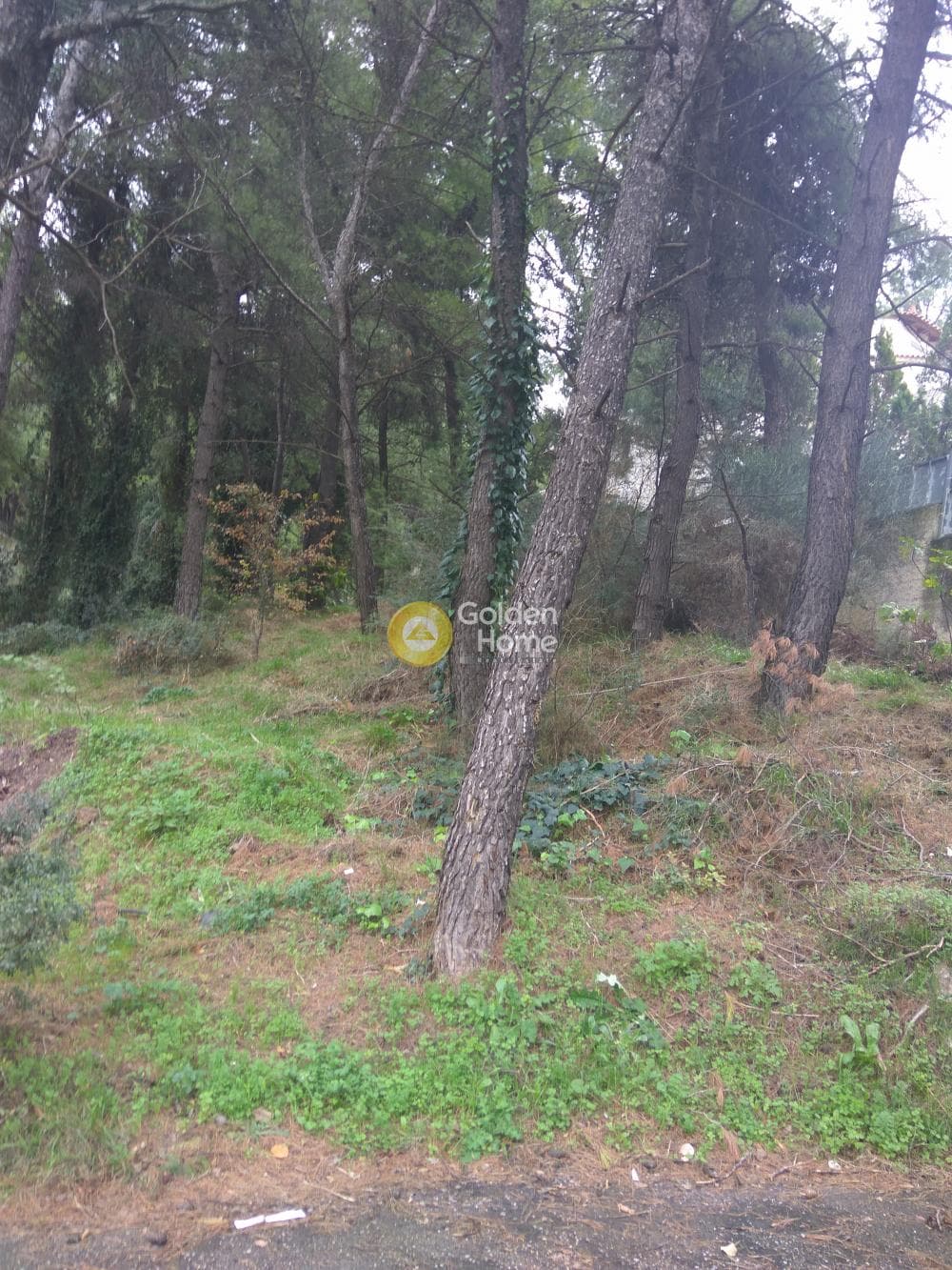 Building Plot in Rodopoli, Rodopoli — Photo 3 of 3