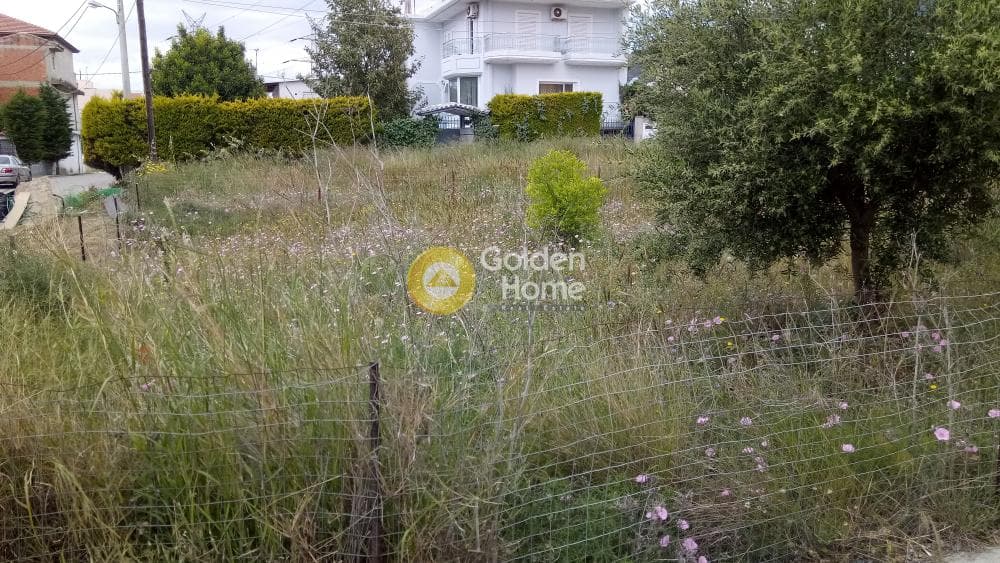 Οικόπεδο στην Μεγάλα Σχοινία Α, Αχαρνές — Φωτογραφία 6 από 8