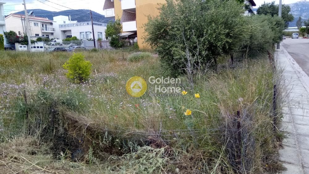Οικόπεδο στην Μεγάλα Σχοινία Α, Αχαρνές — Φωτογραφία 7 από 8
