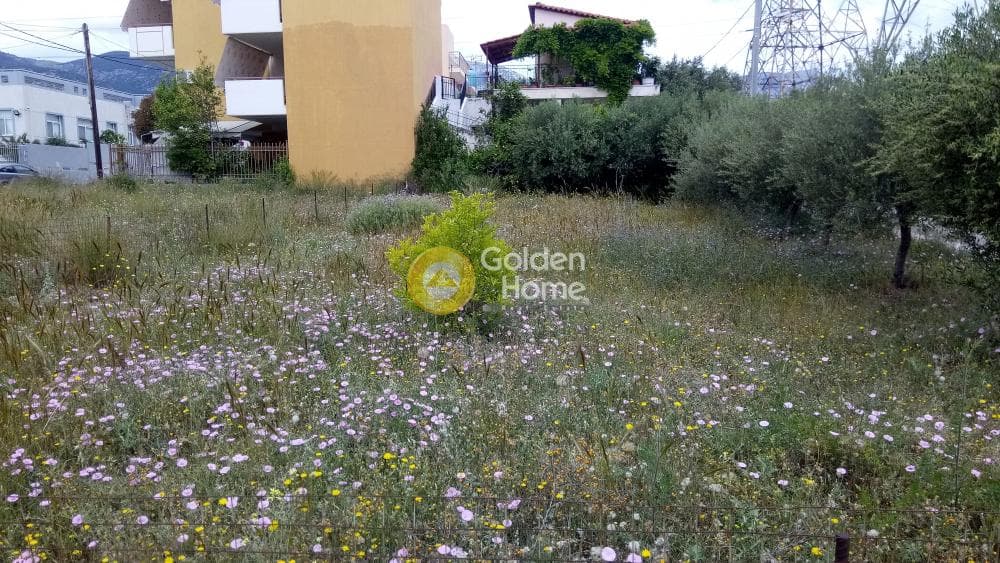Οικόπεδο στην Μεγάλα Σχοινία Α, Αχαρνές — Φωτογραφία 8 από 8