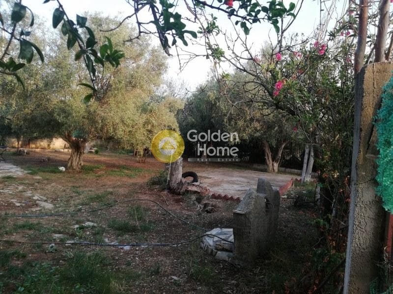Οικόπεδο στην Μεγάλα Σχοινία Α, Αχαρνές — Φωτογραφία 4 από 5