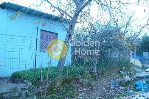 Αγροτεμάχιο στην Μποφίλια, Μεταμόρφωση — Φωτογραφία 2 από 7
