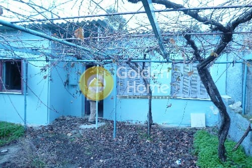 Αγροτεμάχιο στην Μποφίλια, Μεταμόρφωση — Φωτογραφία 5 από 7