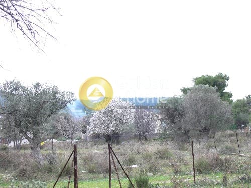 Οικόπεδο στην Κέντρο, Γλυκά Νερά — Φωτογραφία 1 από 4