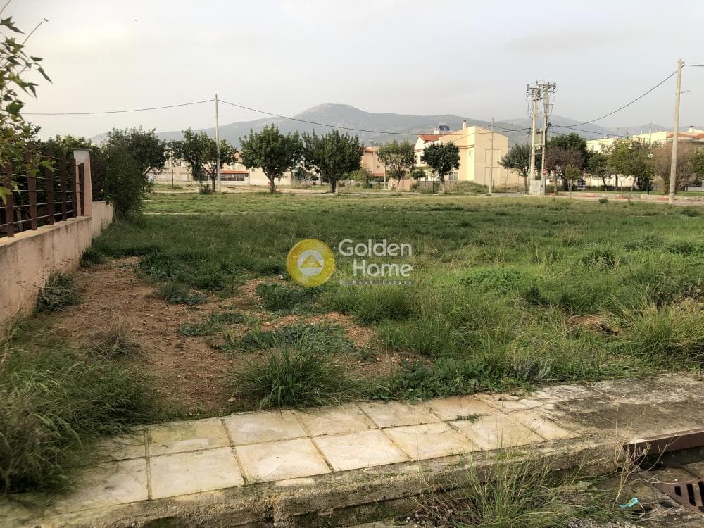 Building Plot in Agios Nikolaos, Ano Liosia — Photo 3 of 3
