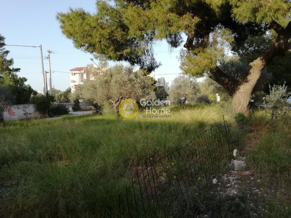 Οικόπεδο στην Ζούμπερι, Νέα Μάκρη — Φωτογραφία 5 από 8