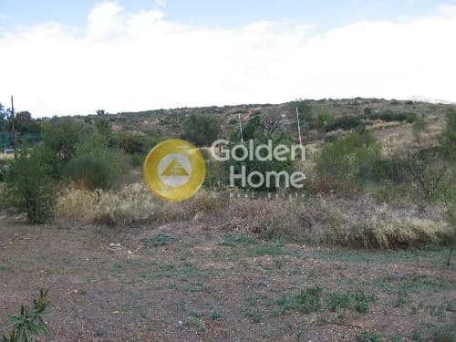Building Plot in Ntrafi, Pikermi — Photo 4 of 5