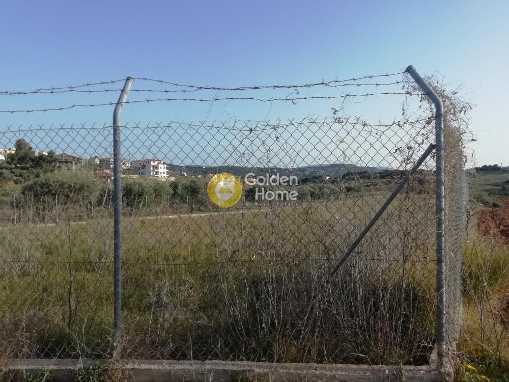 Parcel in Neos Voutzas, Rafina — Photo 1 of 5