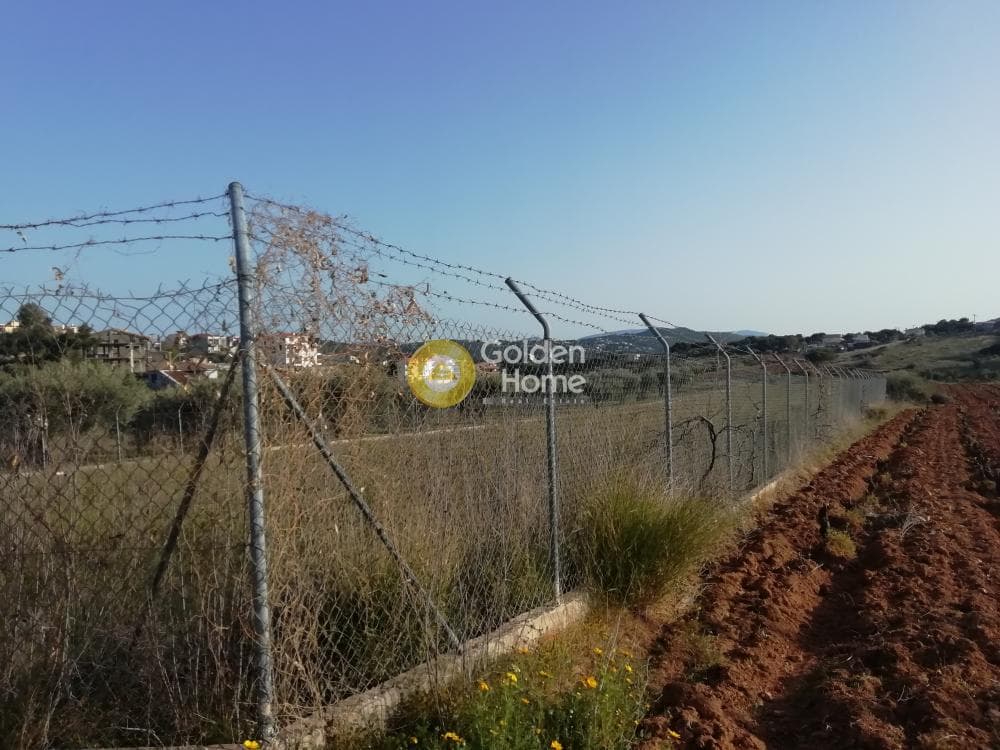 Parcel in Neos Voutzas, Rafina — Photo 2 of 5