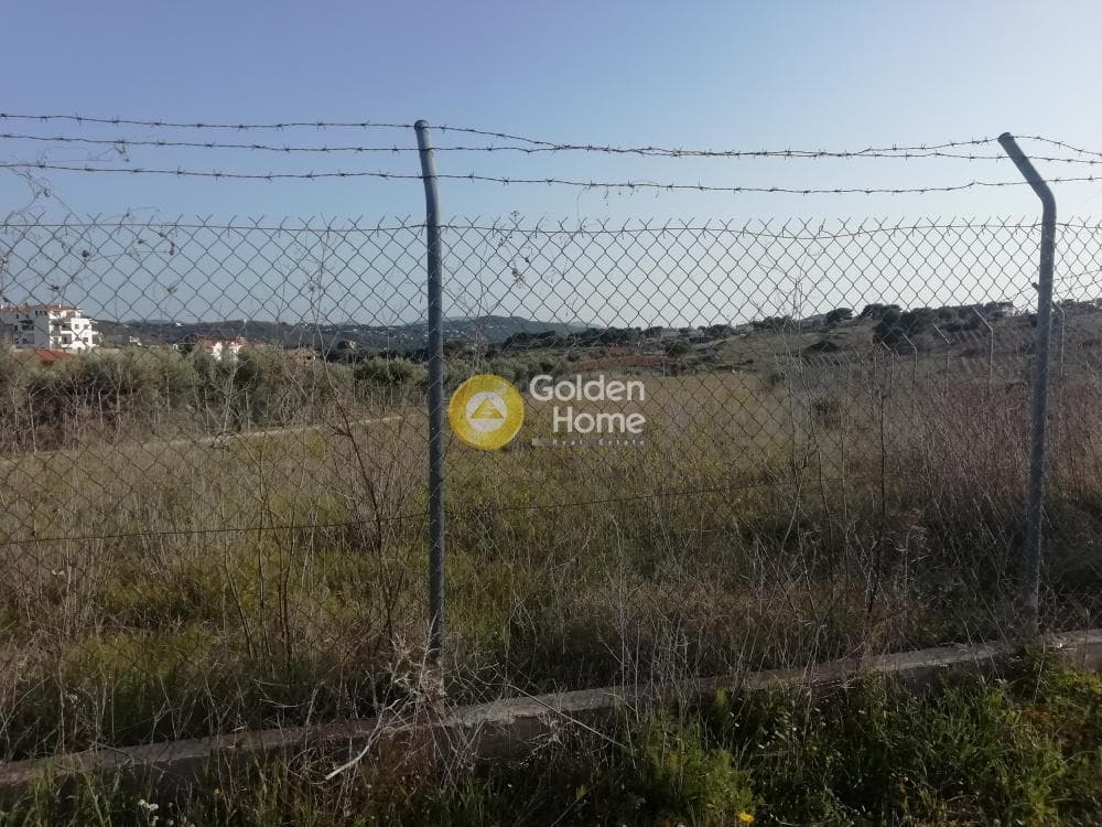 Parcel in Neos Voutzas, Rafina — Photo 3 of 5