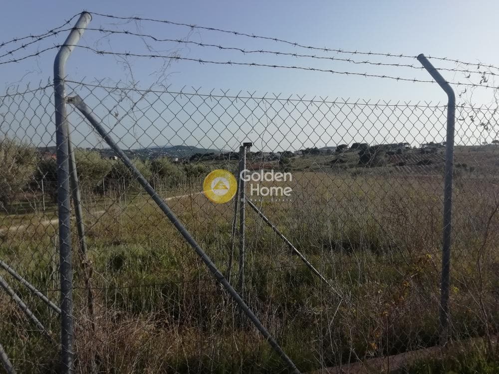 Parcel in Neos Voutzas, Rafina — Photo 4 of 5