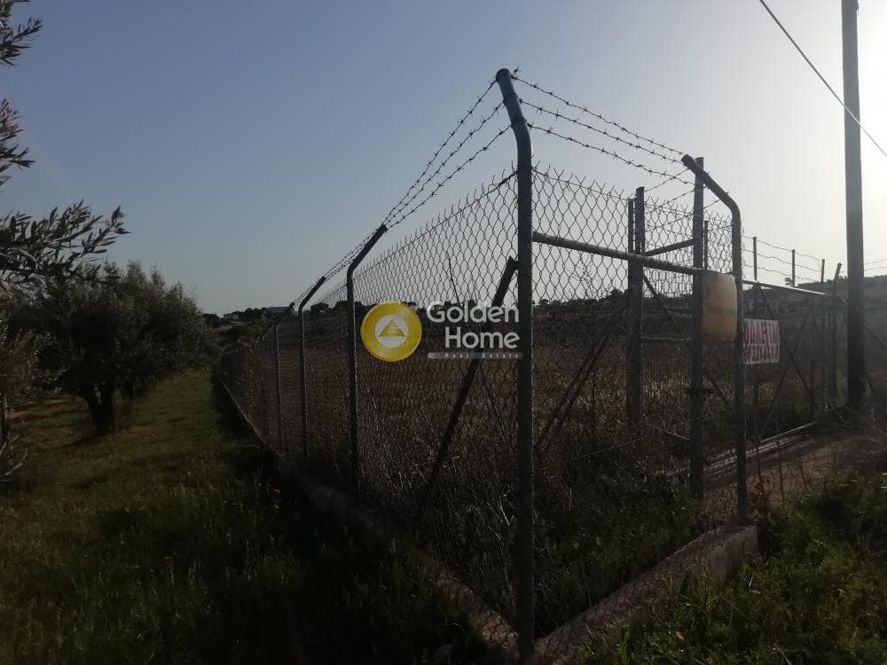 Parcel in Neos Voutzas, Rafina — Photo 5 of 5