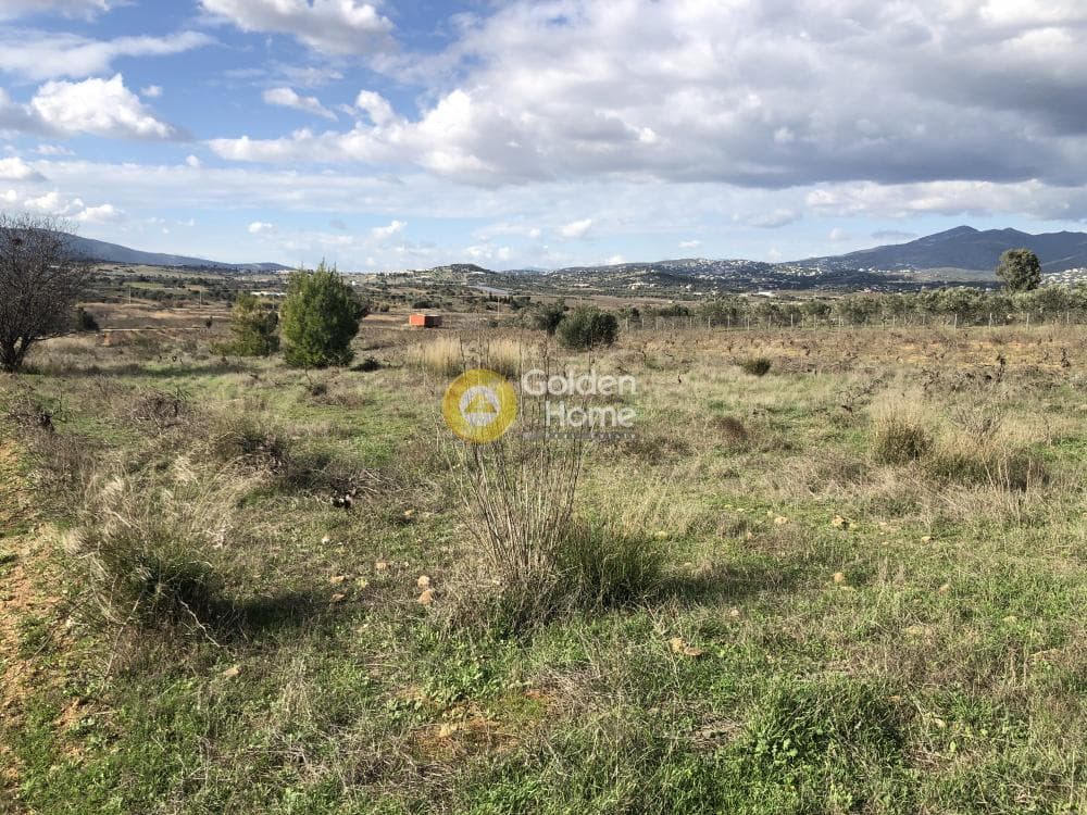 Οικόπεδο στην Νεάπολη, Σπάτα — Φωτογραφία 2 από 9