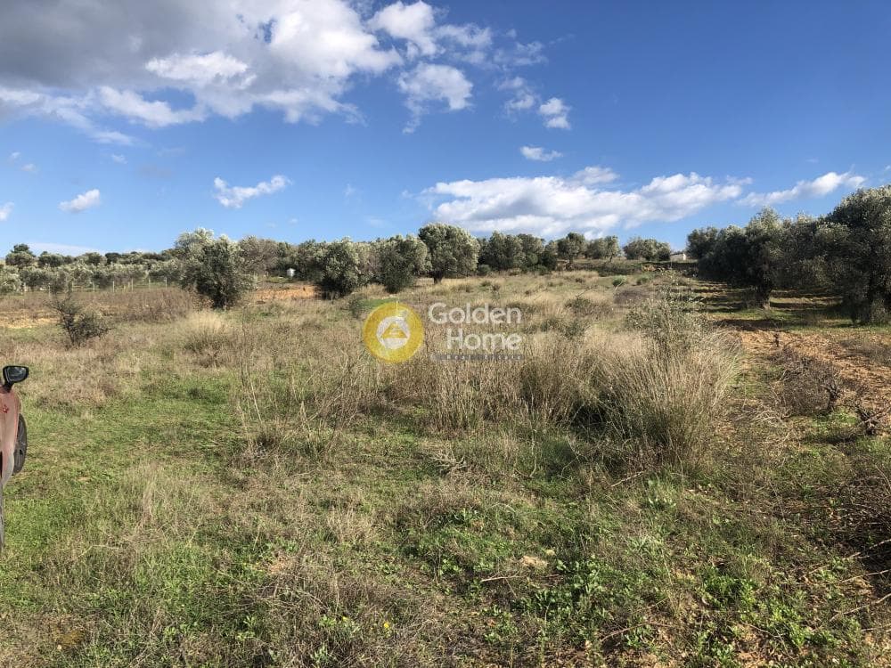 Οικόπεδο στην Νεάπολη, Σπάτα — Φωτογραφία 3 από 9