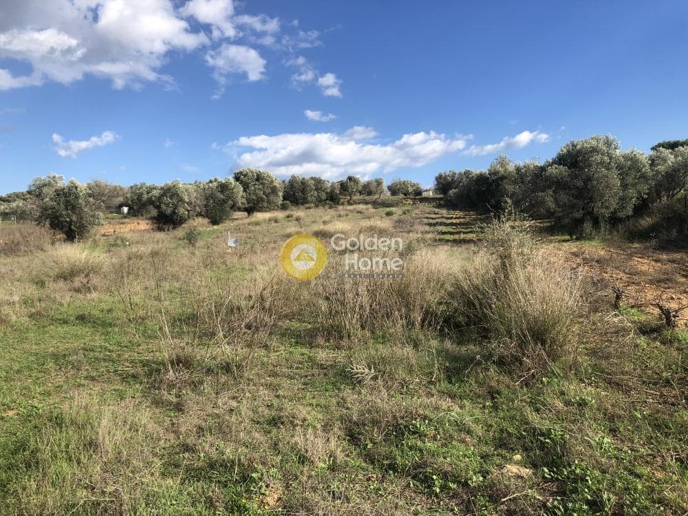 Οικόπεδο στην Νεάπολη, Σπάτα — Φωτογραφία 4 από 9