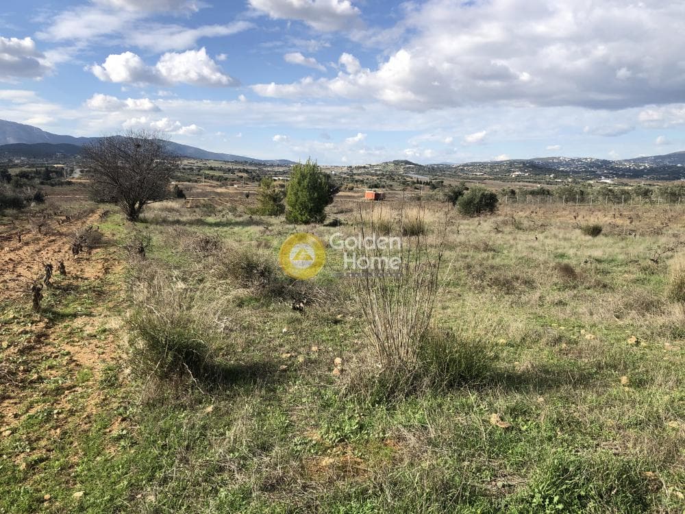 Οικόπεδο στην Νεάπολη, Σπάτα — Φωτογραφία 6 από 9