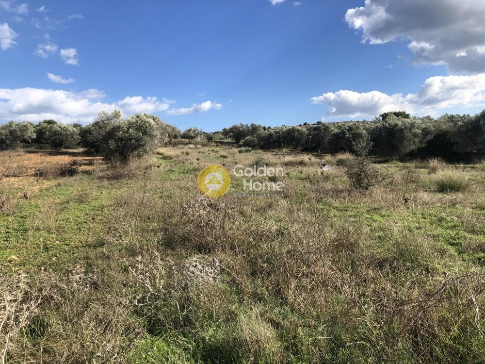 Οικόπεδο στην Νεάπολη, Σπάτα — Φωτογραφία 8 από 9