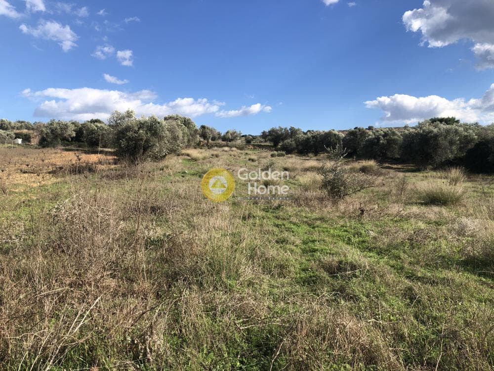 Οικόπεδο στην Νεάπολη, Σπάτα — Φωτογραφία 9 από 9