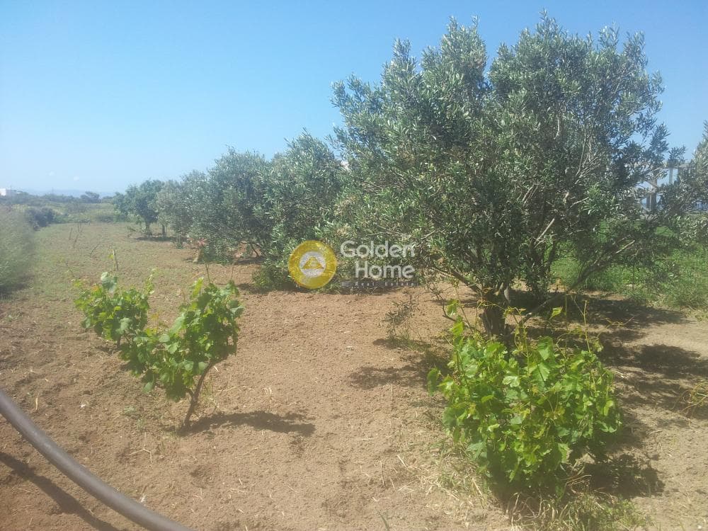 Οικόπεδο στην Καστράκι, Νάξος — Φωτογραφία 2 από 3