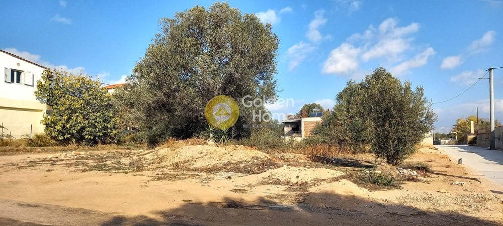 Οικόπεδο στην Κέντρο, Γλυκά Νερά — Φωτογραφία 2 από 2