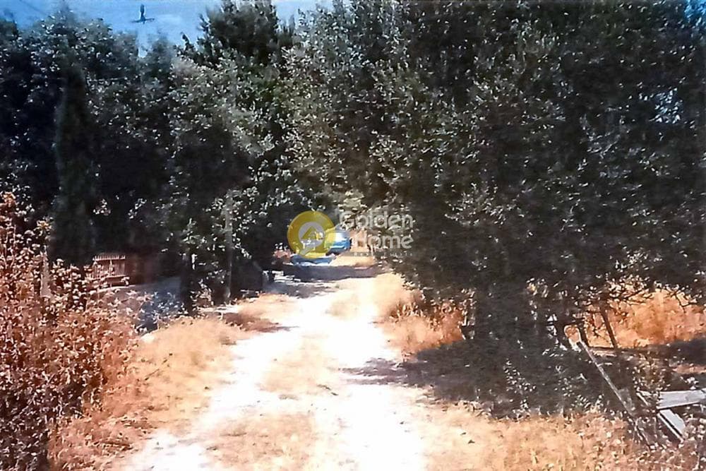 Building Plot in Mariza, Pallini — Photo 2 of 5