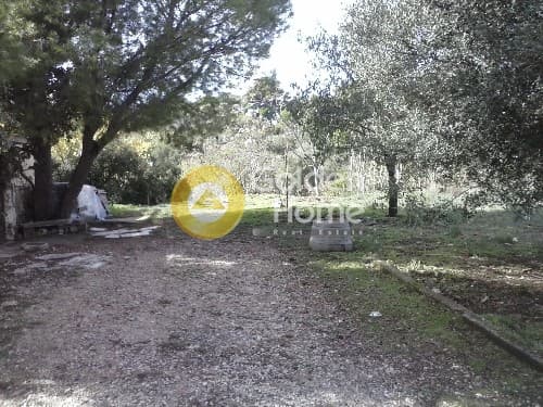 Building Plot in Mariza, Pallini — Photo 5 of 5