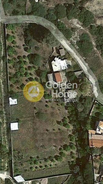 Αγροτεμάχιο στην Κυψέλη, Αίγινα — Φωτογραφία 8 από 10