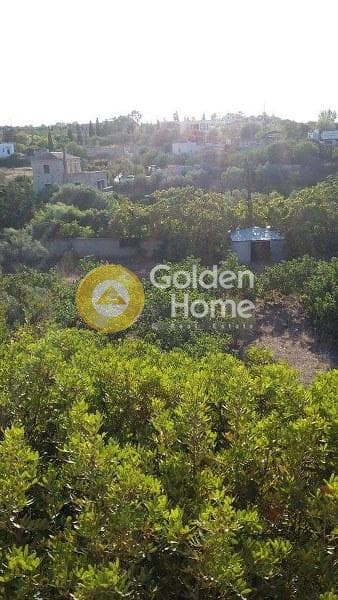 Αγροτεμάχιο στην Κυψέλη, Αίγινα — Φωτογραφία 4 από 10