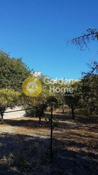 Αγροτεμάχιο στην Κυψέλη, Αίγινα — Φωτογραφία 6 από 10