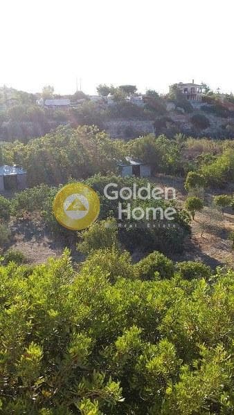 Αγροτεμάχιο στην Κυψέλη, Αίγινα — Φωτογραφία 10 από 10