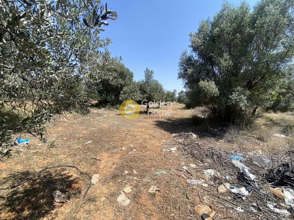 Αγροτεμάχιο στην Καρελλάς, Παιανία — Φωτογραφία 2 από 6