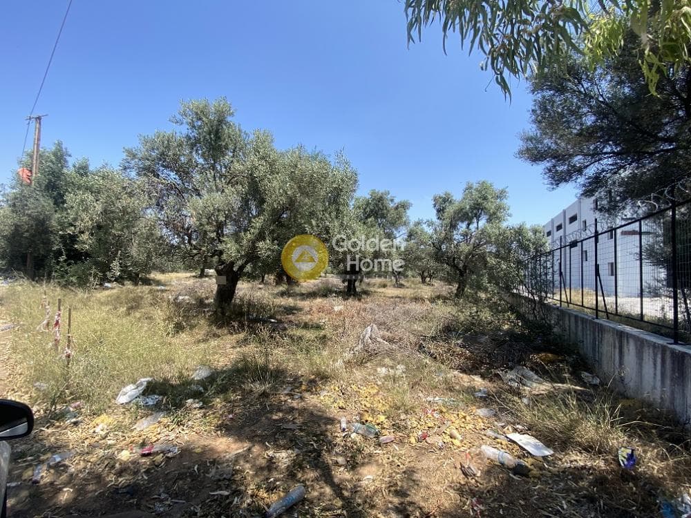 Αγροτεμάχιο στην Καρελλάς, Παιανία — Φωτογραφία 3 από 6