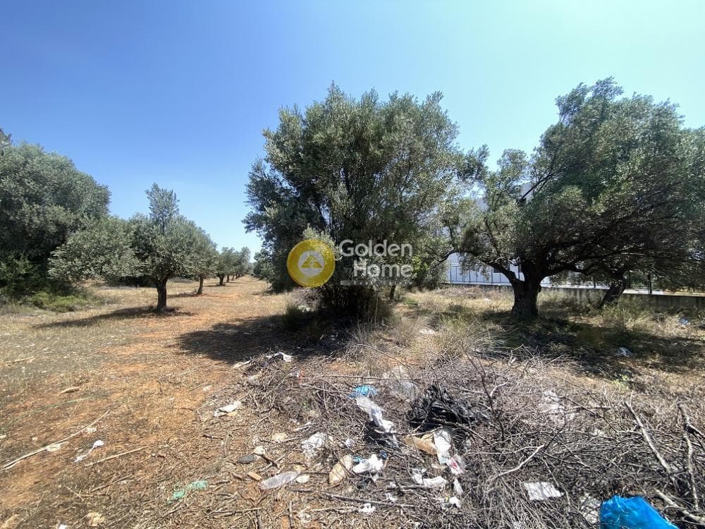 Αγροτεμάχιο στην Καρελλάς, Παιανία — Φωτογραφία 5 από 6
