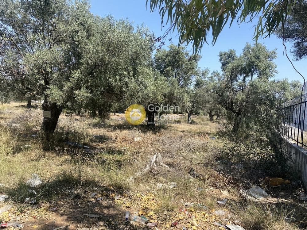 Αγροτεμάχιο στην Καρελλάς, Παιανία — Φωτογραφία 6 από 6