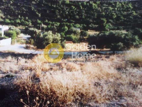 Οικόπεδο στην Αλώνες, Αίγινα — Φωτογραφία 2 από 2
