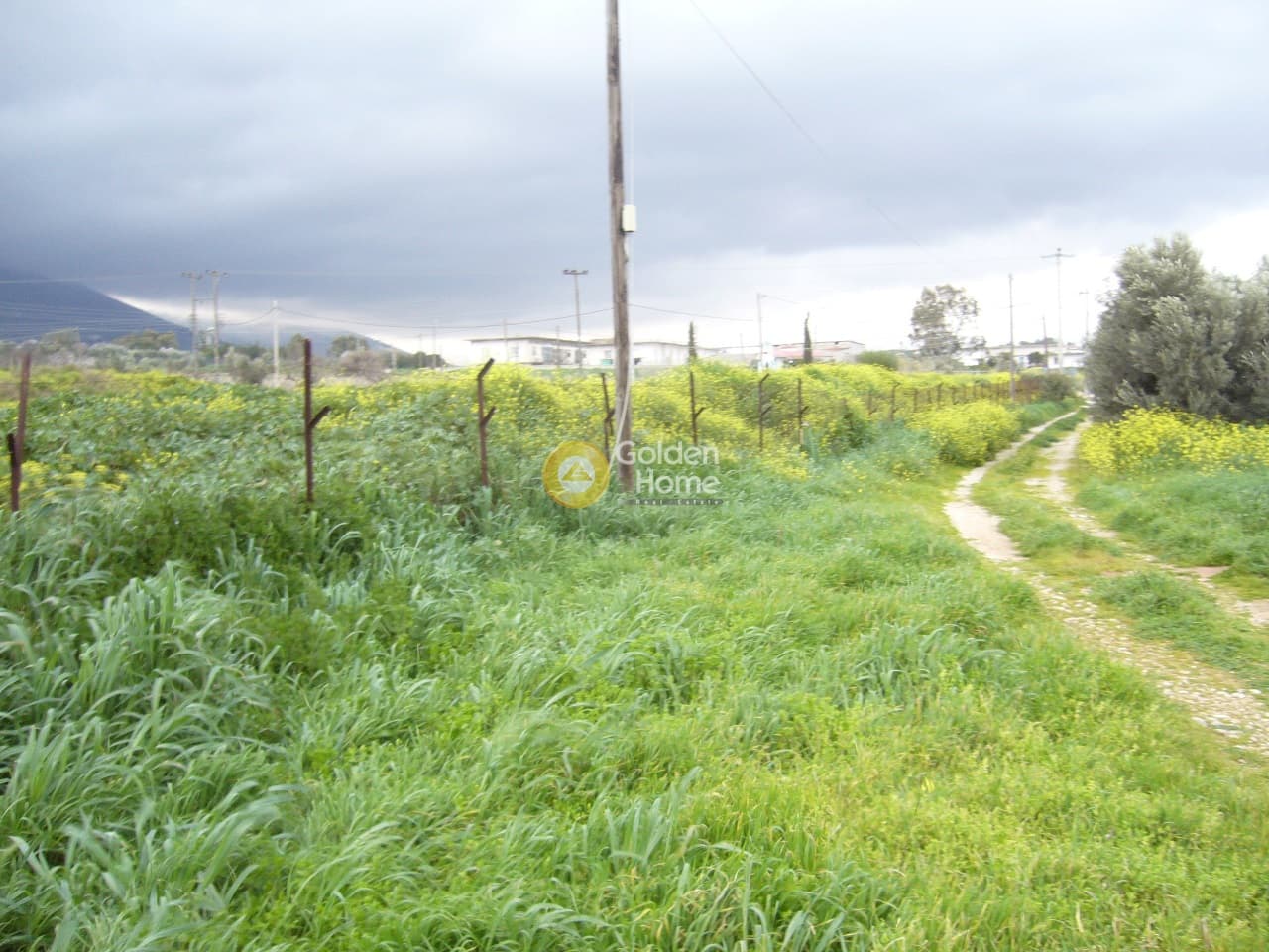 Parcel in Center, Koropi — Photo 13 of 14