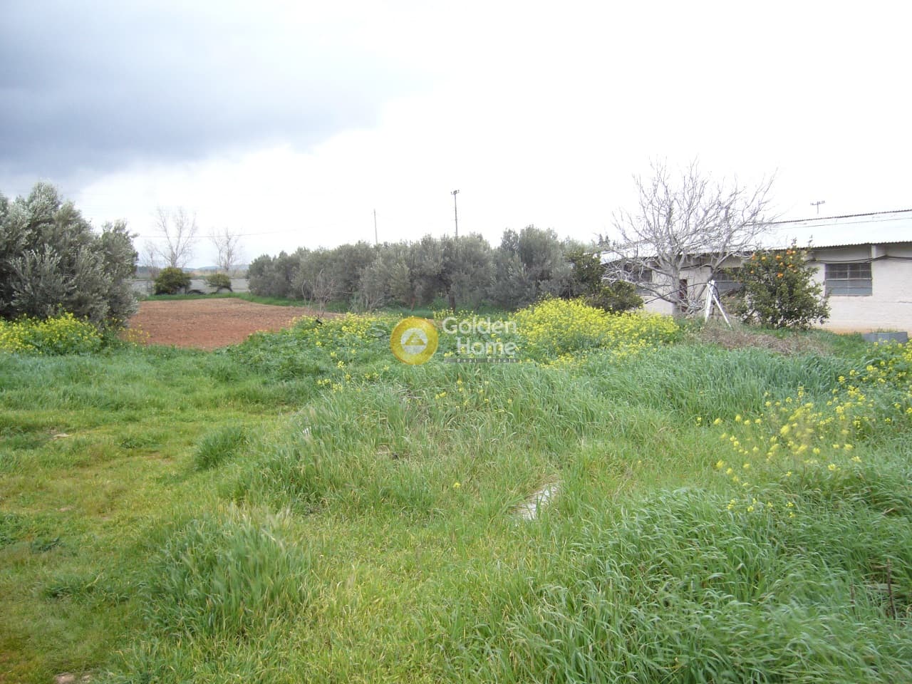 Parcel in Center, Koropi — Photo 7 of 14