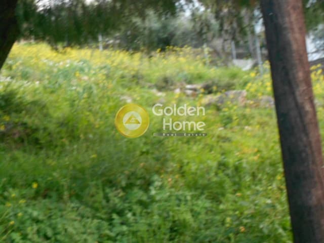 Building Plot in Kalitexnoupoli, Rafina — Photo 3 of 3
