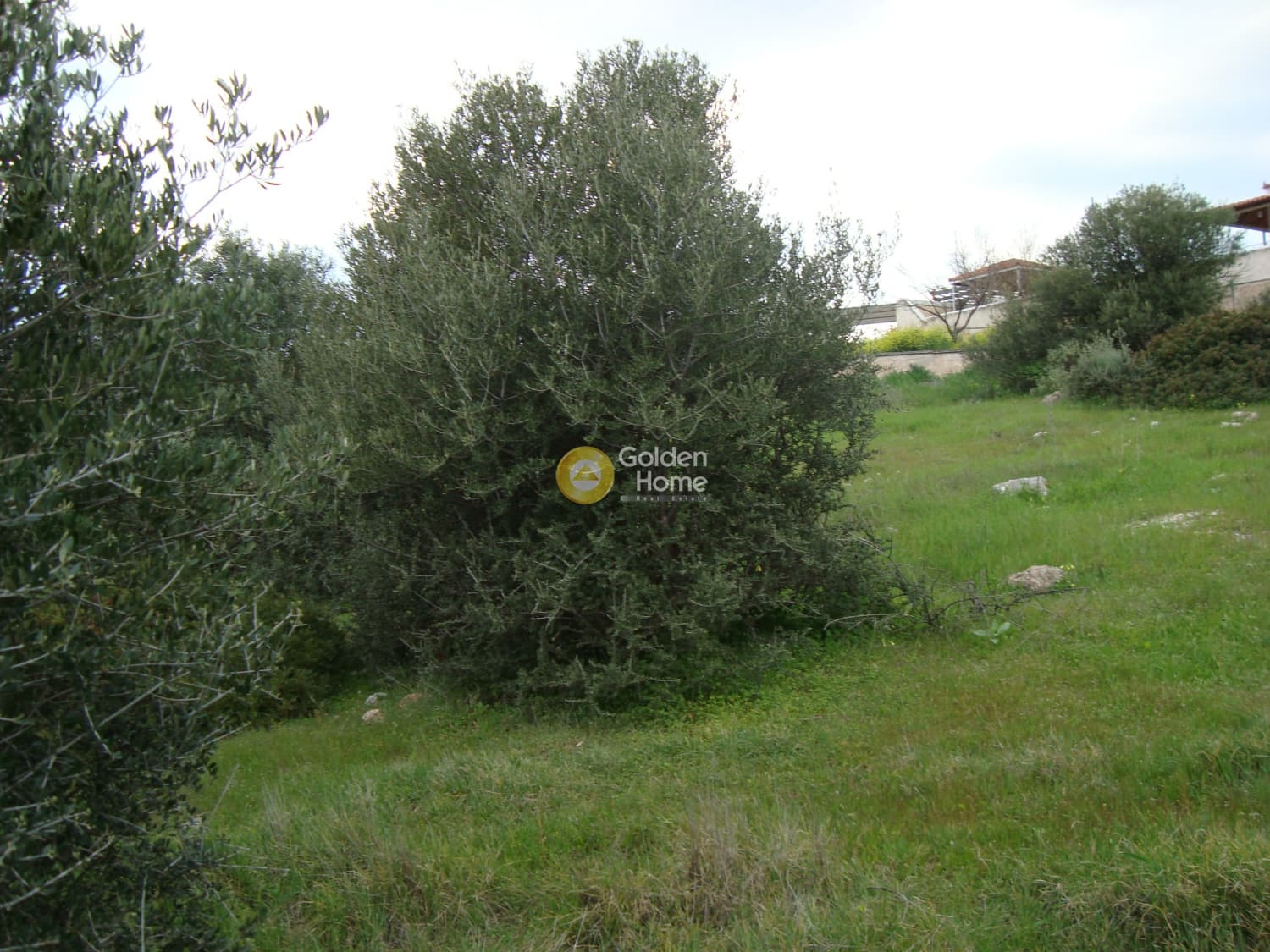 Parcel in Agia Marina, Koropi — Photo 2 of 6