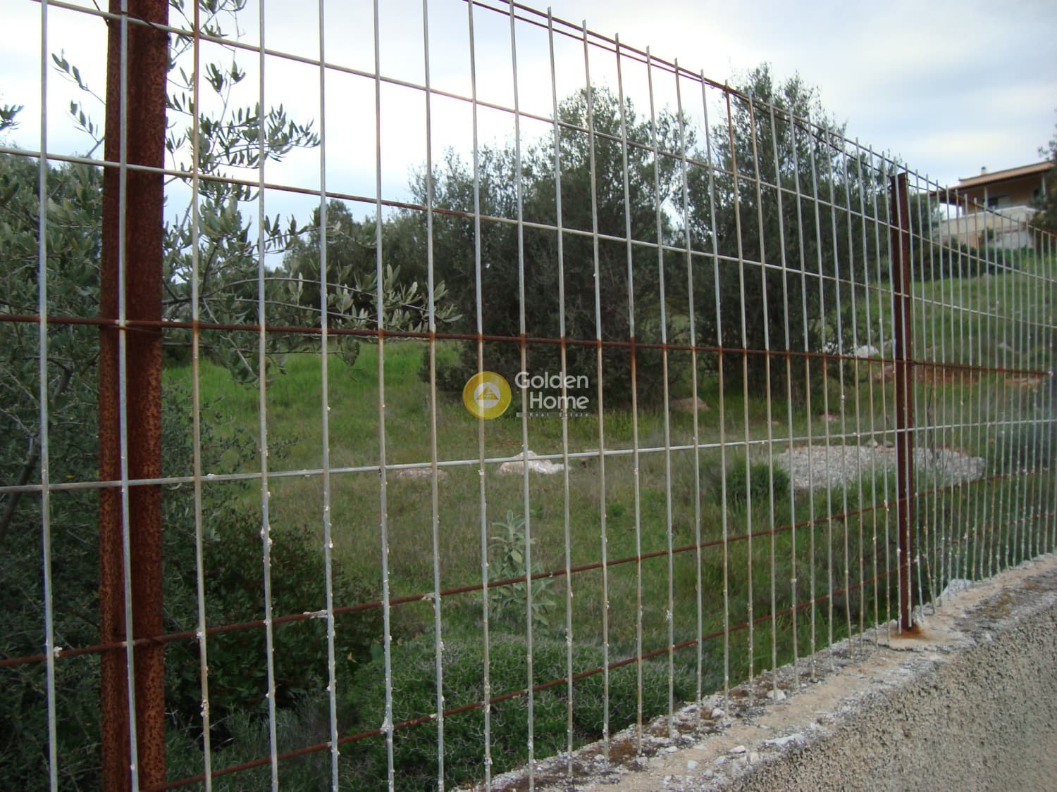 Parcel in Agia Marina, Koropi — Photo 4 of 6