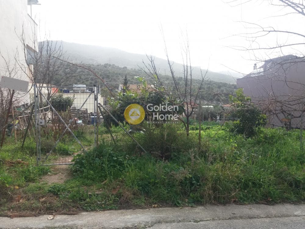 Οικόπεδο στην Αφαία, Χαϊδάρι — Φωτογραφία 2 από 3