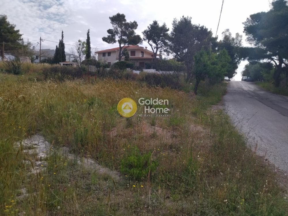 Οικόπεδο στην Καλλιθέα, Πεντέλη — Φωτογραφία 4 από 7