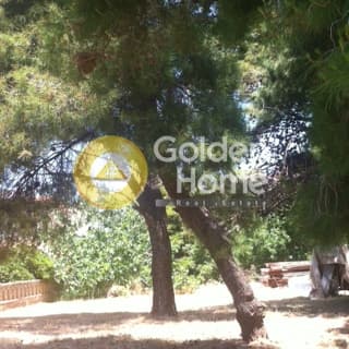 Οικόπεδο στην Σαρωνίδα, Σαρωνίδα — Φωτογραφία 6 από 6