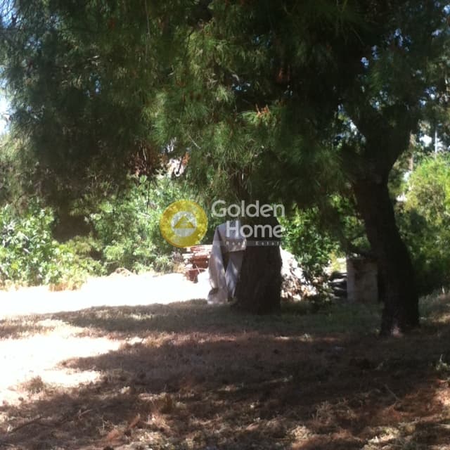 Οικόπεδο στην Σαρωνίδα, Σαρωνίδα — Φωτογραφία 5 από 6